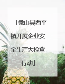 微山县西平镇开展企业安全生产大检查行动