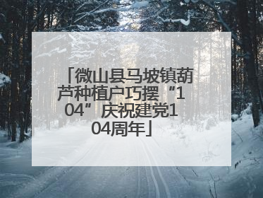 微山县马坡镇葫芦种植户巧摆“104”庆祝建党104周年