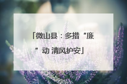 微山县：多措“廉”动 清风护安