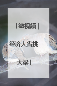微视频｜经济大省挑大梁