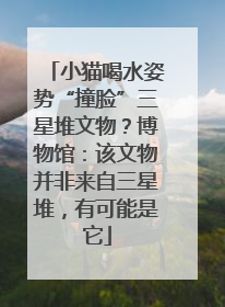 小猫喝水姿势“撞脸”三星堆文物？博物馆：该文物并非来自三星堆，有可能是它