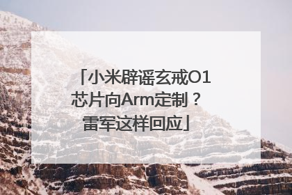 小米辟谣玄戒O1芯片向Arm定制？雷军这样回应