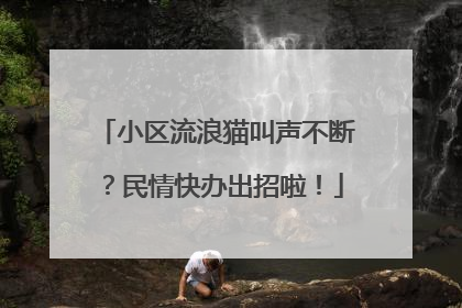 小区流浪猫叫声不断？民情快办出招啦！