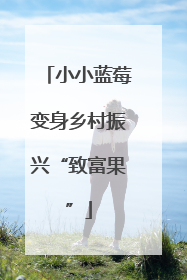 小小蓝莓变身乡村振兴“致富果”