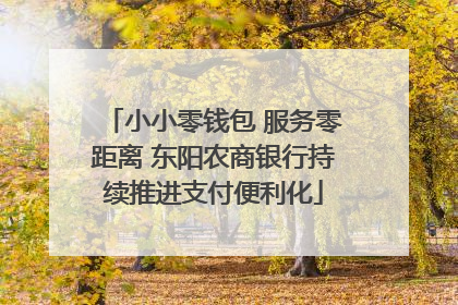 小小零钱包 服务零距离 东阳农商银行持续推进支付便利化