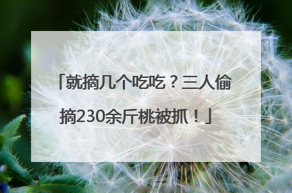 就摘几个吃吃？三人偷摘230余斤桃被抓！
