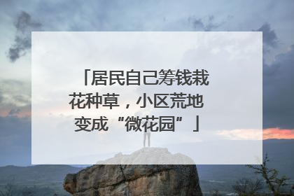 居民自己筹钱栽花种草，小区荒地变成“微花园”