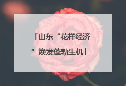 山东“花样经济”焕发蓬勃生机