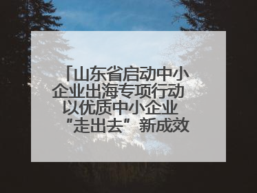 山东省启动中小企业出海专项行动 以优质中小企业“走出去”新成效展示山东产业发展新形象