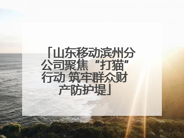山东移动滨州分公司聚焦“打猫”行动 筑牢群众财产防护堤