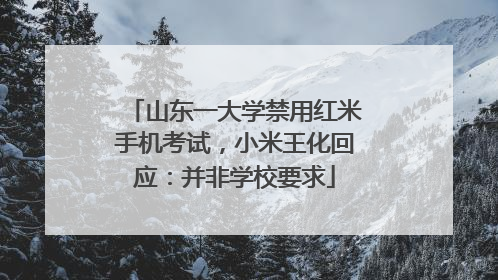 山东一大学禁用红米手机考试，小米王化回应：并非学校要求