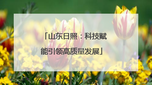 山东日照：科技赋能引领高质量发展