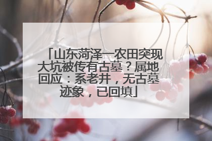 山东菏泽一农田突现大坑被传有古墓？属地回应：系老井，无古墓迹象，已回填