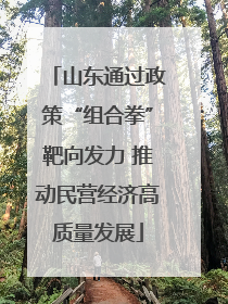 山东通过政策“组合拳”靶向发力 推动民营经济高质量发展