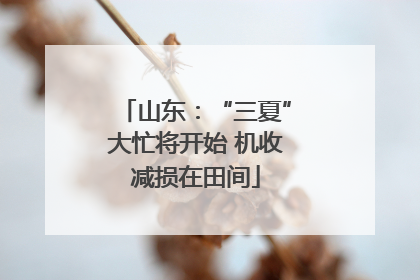 山东：“三夏”大忙将开始 机收减损在田间