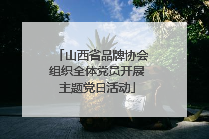山西省品牌协会组织全体党员开展主题党日活动