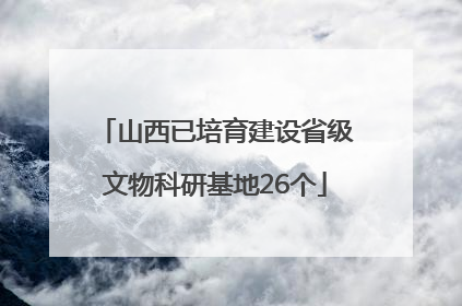 山西已培育建设省级文物科研基地26个