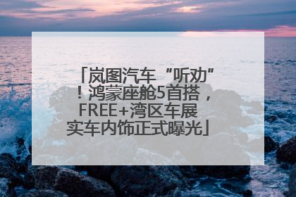 岚图汽车“听劝”！鸿蒙座舱5首搭，FREE+湾区车展实车内饰正式曝光