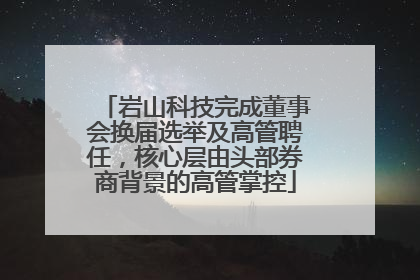 岩山科技完成董事会换届选举及高管聘任，核心层由头部券商背景的高管掌控