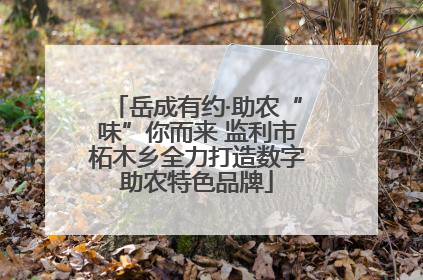 岳成有约·助农“味”你而来 监利市柘木乡全力打造数字助农特色品牌