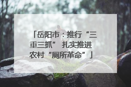 岳阳市：推行“三重三抓” 扎实推进农村“厕所革命”