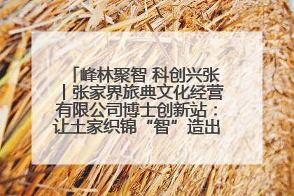 峰林聚智 科创兴张丨张家界旅典文化经营有限公司博士创新站：让土家织锦“智”造出非遗新传奇