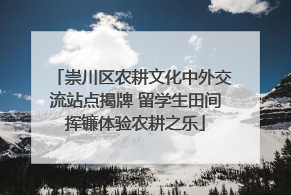崇川区农耕文化中外交流站点揭牌 留学生田间挥镰体验农耕之乐