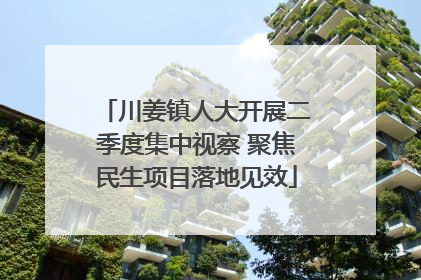 川姜镇人大开展二季度集中视察 聚焦民生项目落地见效