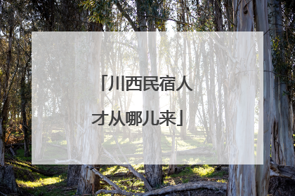 川西民宿人才从哪儿来