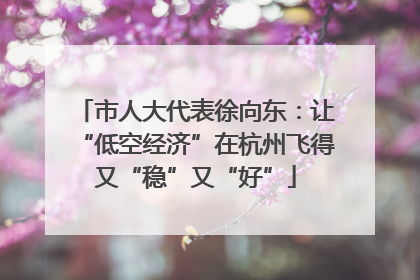 市人大代表徐向东：让“低空经济”在杭州飞得又“稳”又“好”