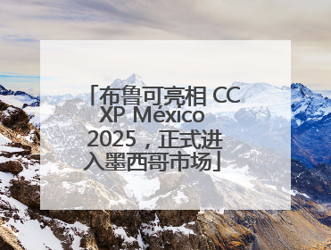 布鲁可亮相 CCXP México 2025，正式进入墨西哥市场