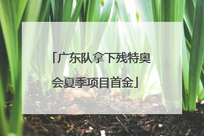 广东队拿下残特奥会夏季项目首金