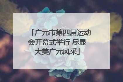 广元市第四届运动会开幕式举行 尽显大美广元风采