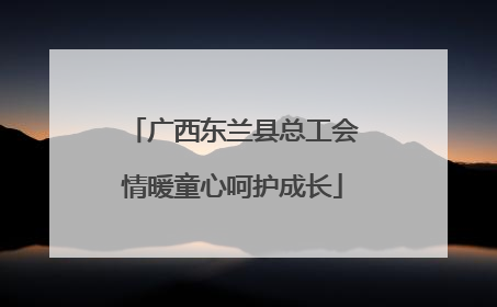广西东兰县总工会情暖童心呵护成长