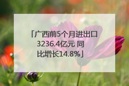 广西前5个月进出口3236.4亿元 同比增长14.8%