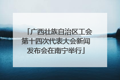 广西壮族自治区工会第十四次代表大会新闻发布会在南宁举行