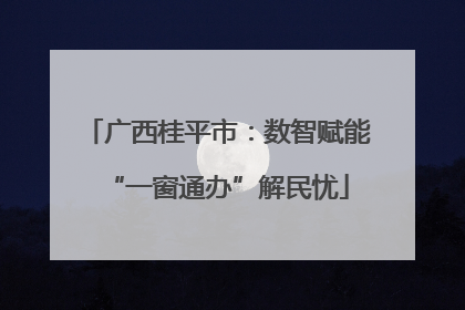 广西桂平市：数智赋能“一窗通办”解民忧
