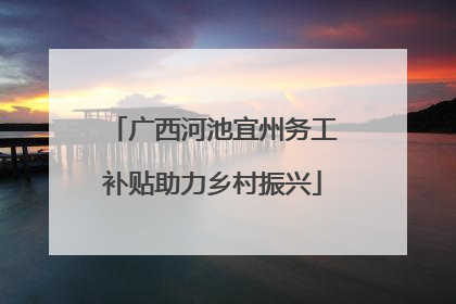 广西河池宜州务工补贴助力乡村振兴