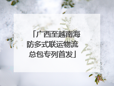 广西至越南海防多式联运物流总包专列首发