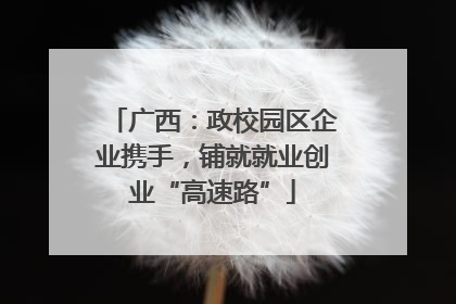 广西：政校园区企业携手，铺就就业创业“高速路”