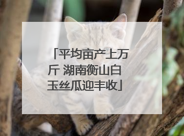 平均亩产上万斤 湖南衡山白玉丝瓜迎丰收