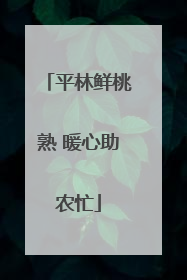 平林鲜桃熟 暖心助农忙