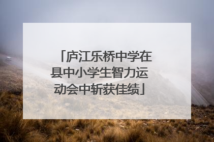 庐江乐桥中学在县中小学生智力运动会中斩获佳绩