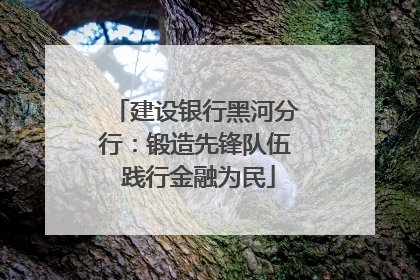 建设银行黑河分行：锻造先锋队伍 践行金融为民