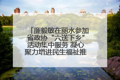 廉毅敏在丽水参加省政协“六送下乡”活动集中服务 凝心聚力增进民生福祉推进共同富裕