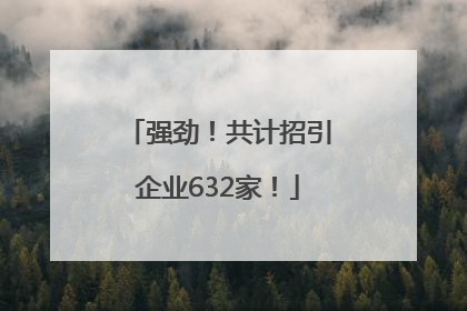 强劲！共计招引企业632家！