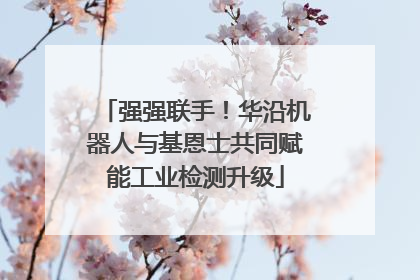 强强联手！华沿机器人与基恩士共同赋能工业检测升级