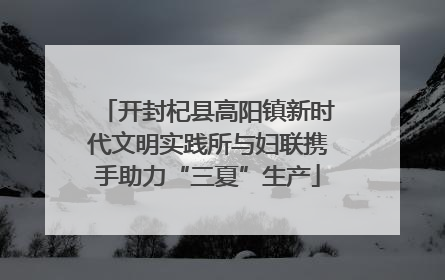 开封杞县高阳镇新时代文明实践所与妇联携手助力“三夏”生产