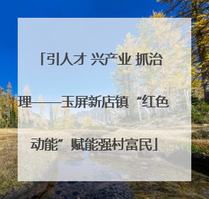 引人才 兴产业 抓治理——玉屏新店镇“红色动能”赋能强村富民