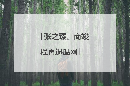 张之臻、商竣程再退温网